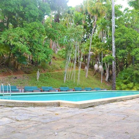 Hotel Do Cafe Rio das Flores Bagian luar foto